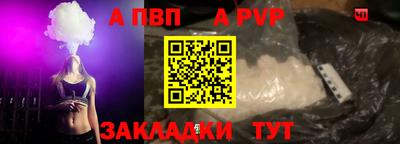 стаф Кингисепп