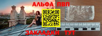 стаф Кингисепп
