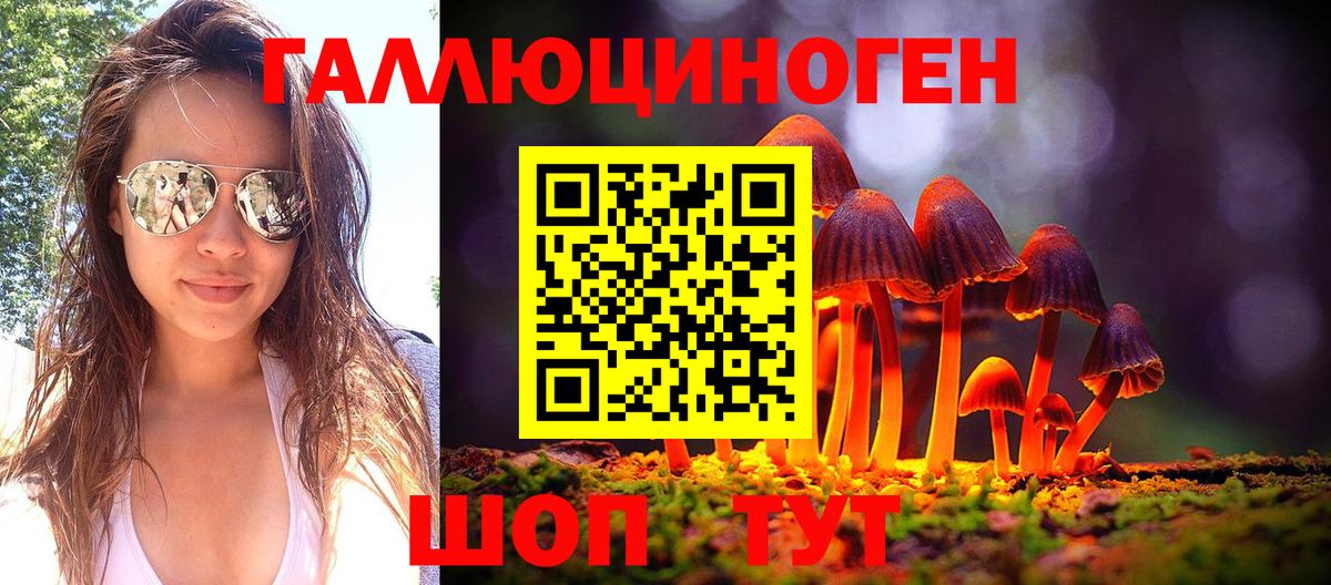 Чита  Псилоцибиновые грибы Psilocybine cubensis  Вход с VPN 