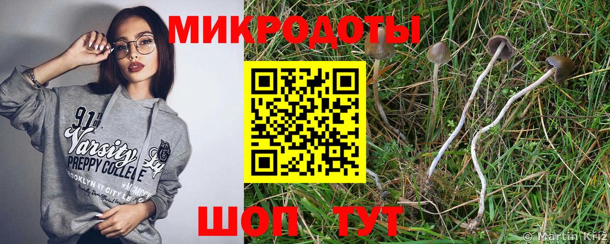 Псилоцибиновые грибы Magic Shrooms Чита
